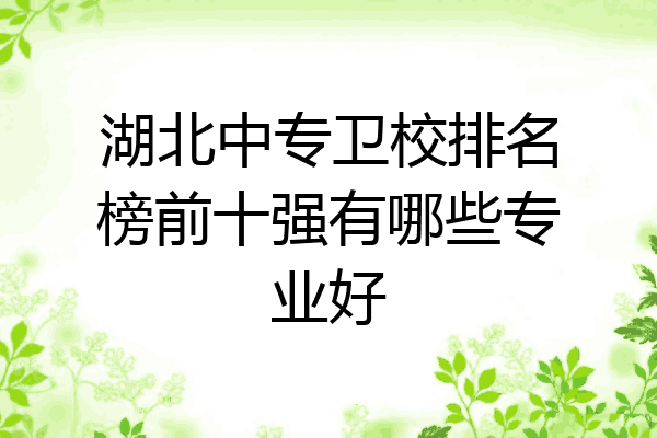 湖北中专卫校排名榜前十强有哪些专业好