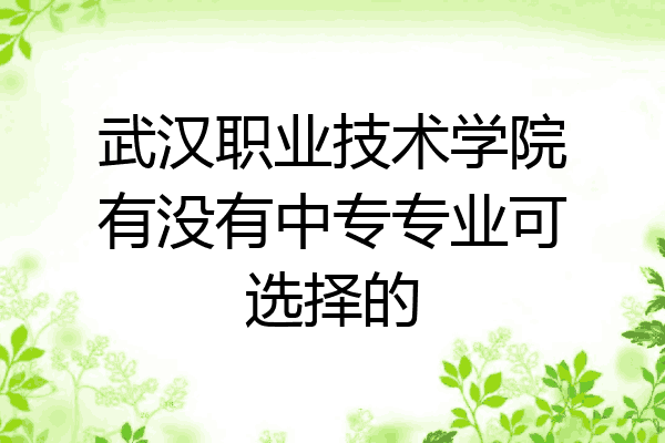 武汉职业技术学院有没有中专专业可选择的