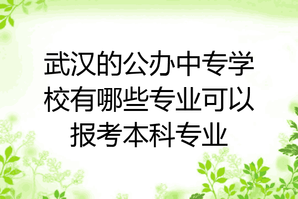 武汉的公办中专学校有哪些专业可以报考本科专业