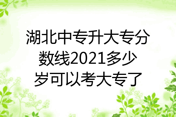 湖北中专升大专分数线2021多少岁可以考大专了