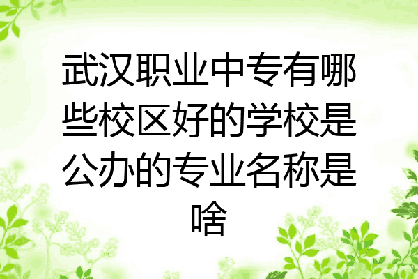 武汉职业中专有哪些校区好的学校是公办的专业名称是啥