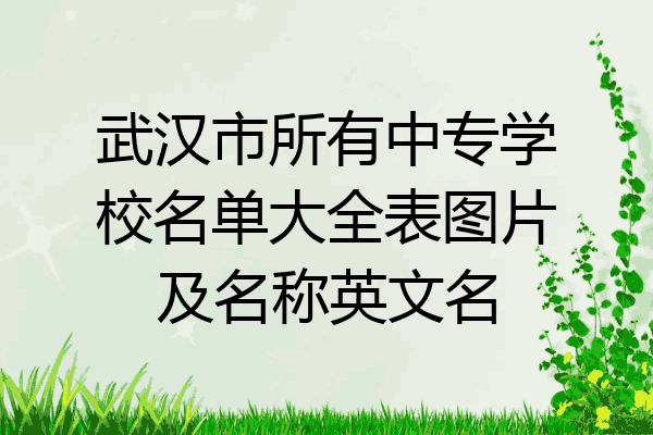 武汉市所有中专学校名单大全表图片及名称英文名