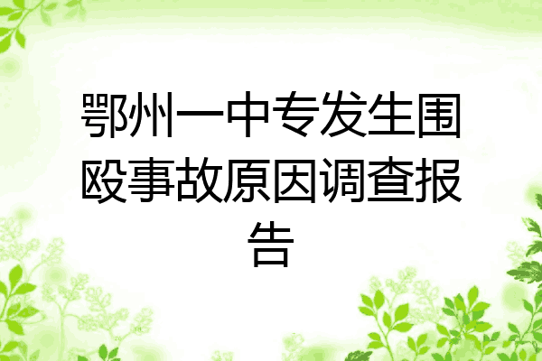 鄂州一中专发生围殴事故原因调查报告