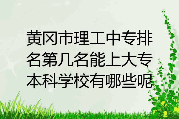 黄冈市理工中专排名第几名能上大专本科学校有哪些呢