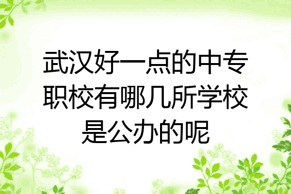 武汉好一点的中专职校有哪几所学校是公办的呢