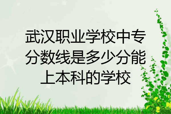 武汉职业学校中专分数线是多少分能上本科的学校