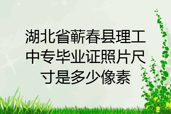 湖北省蕲春县理工中专毕业证照片尺寸是多少像素