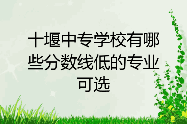 十堰中专学校有哪些分数线低的专业可选