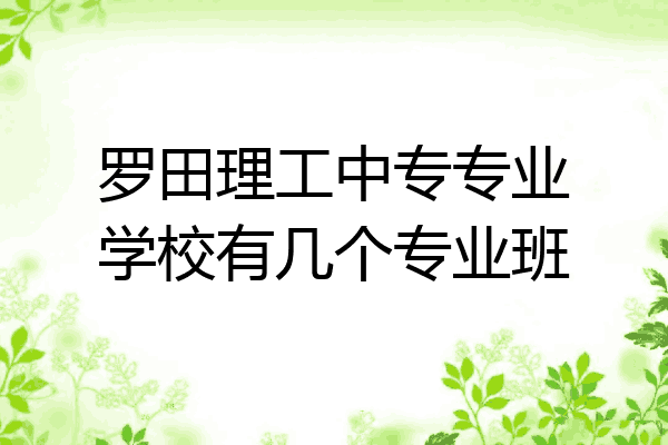 罗田理工中专专业学校有几个专业班