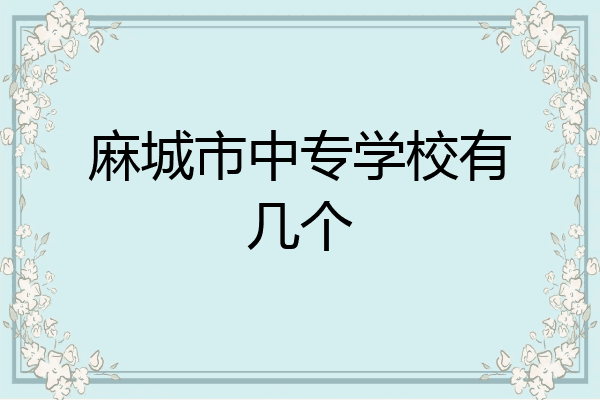 麻城市中专学校有几个