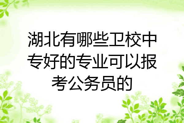 湖北有哪些卫校中专好的专业可以报考公务员的