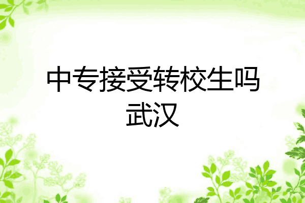 中专接受转校生吗武汉