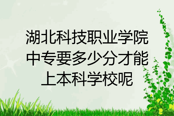 湖北科技职业学院中专要多少分才能上本科学校呢