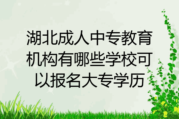 湖北成人中专教育机构有哪些学校可以报名大专学历