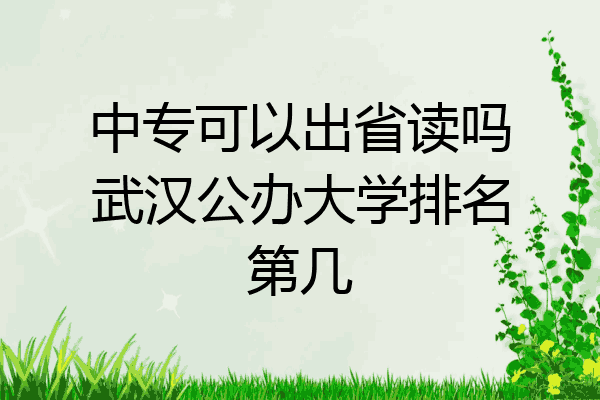 中专可以出省读吗武汉公办大学排名第几