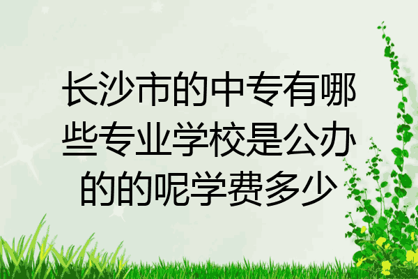 长沙市的中专有哪些专业学校是公办的的呢学费多少