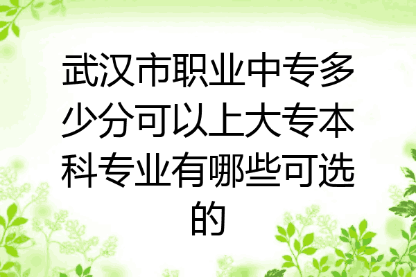 武汉市职业中专多少分可以上大专本科专业有哪些可选的