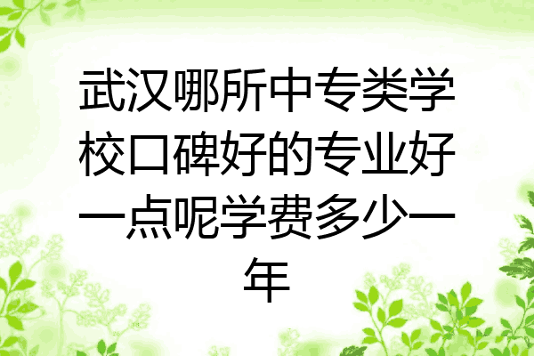 武汉哪所中专类学校口碑好的专业好一点呢学费多少一年