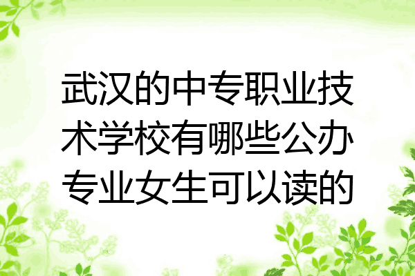 武汉的中专职业技术学校有哪些公办专业女生可以读的