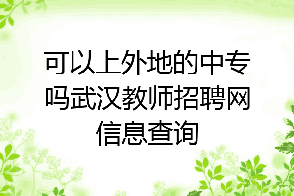 可以上外地的中专吗武汉教师招聘网信息查询