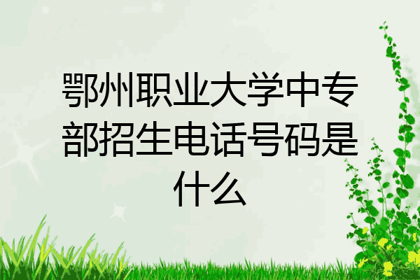 鄂州职业大学中专部招生电话号码是什么