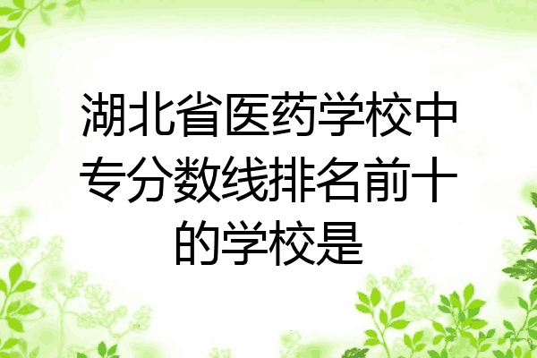 湖北省医药学校中专分数线排名前十的学校是