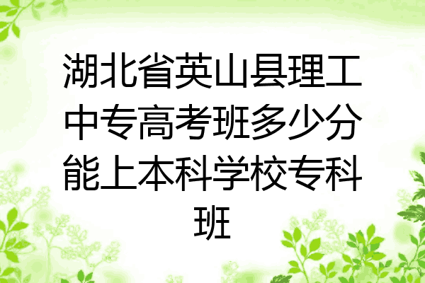 湖北省英山县理工中专高考班多少分能上本科学校专科班