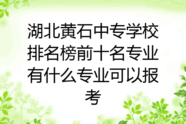 湖北黄石中专学校排名榜前十名专业有什么专业可以报考
