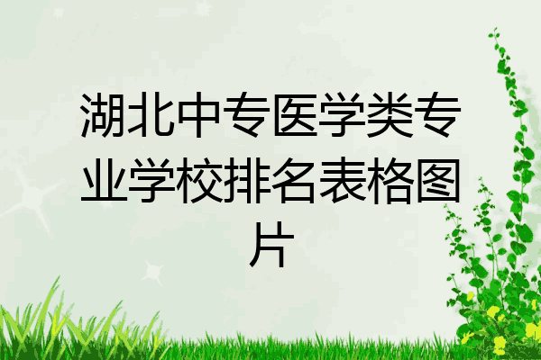 湖北中专医学类专业学校排名表格图片