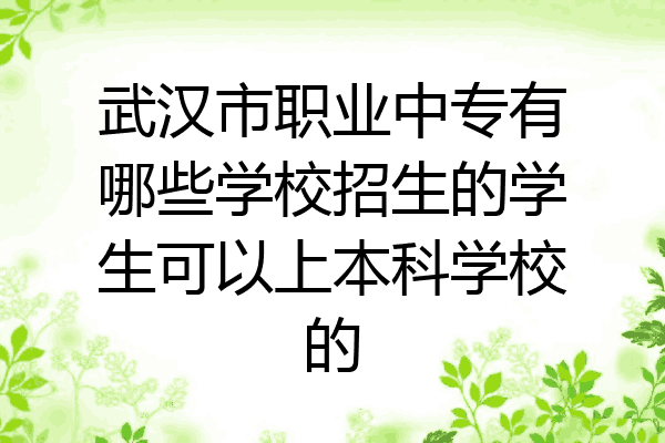 武汉市职业中专有哪些学校招生的学生可以上本科学校的