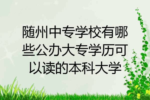 随州中专学校有哪些公办大专学历可以读的本科大学
