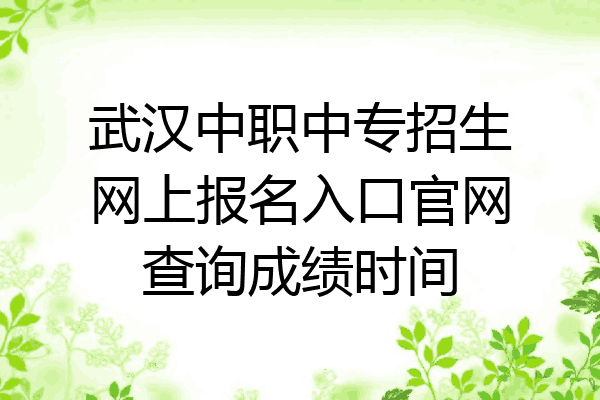 武汉中职中专招生网上报名入口官网查询成绩时间