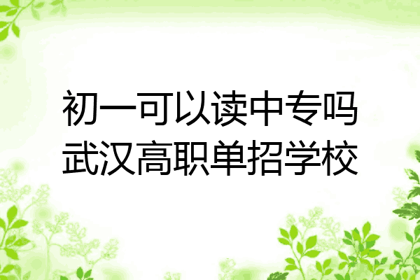初一可以读中专吗武汉高职单招学校