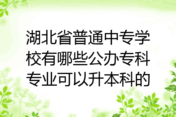 湖北省普通中专学校有哪些公办专科专业可以升本科的