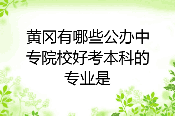 黄冈有哪些公办中专院校好考本科的专业是
