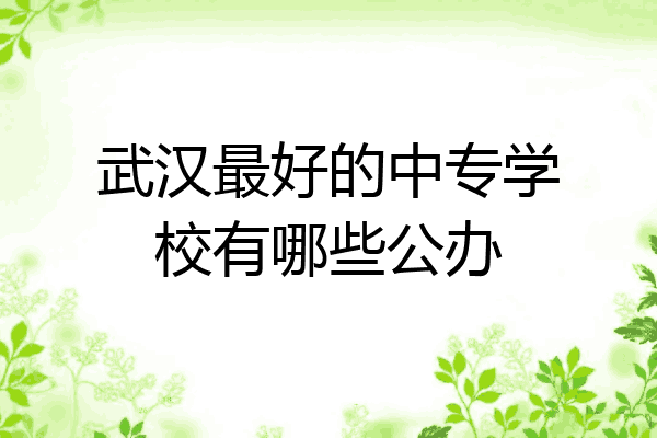 武汉最好的中专学校有哪些公办