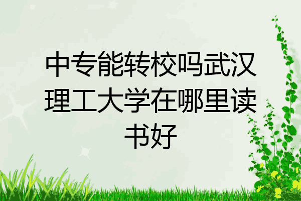 中专能转校吗武汉理工大学在哪里读书好