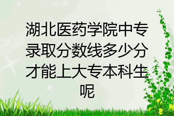湖北医药学院中专录取分数线多少分才能上大专本科生呢