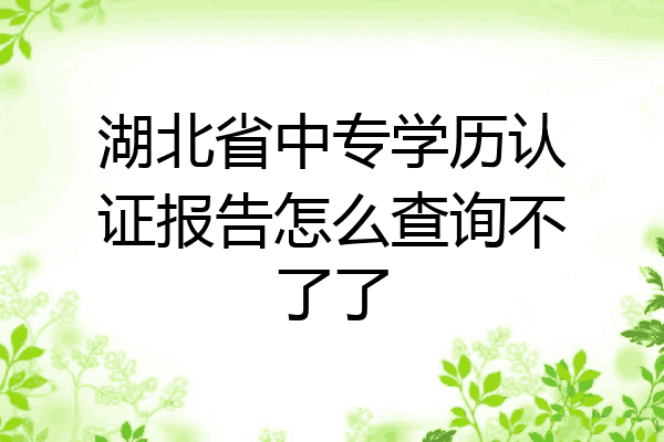湖北省中专学历认证报告怎么查询不了了