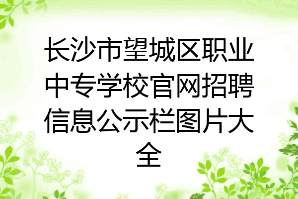 长沙市望城区职业中专学校官网招聘信息公示栏图片大全