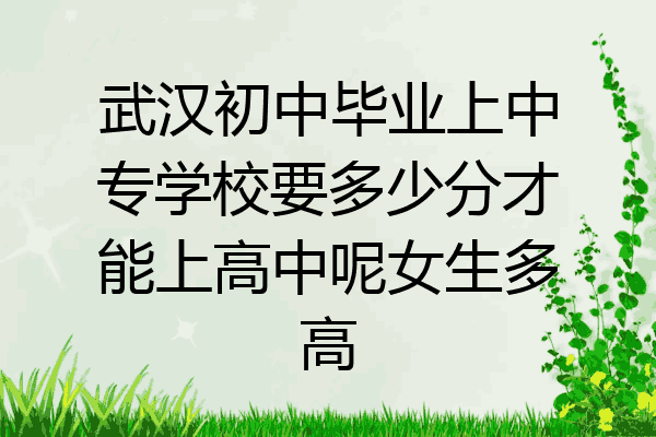 武汉初中毕业上中专学校要多少分才能上高中呢女生多高