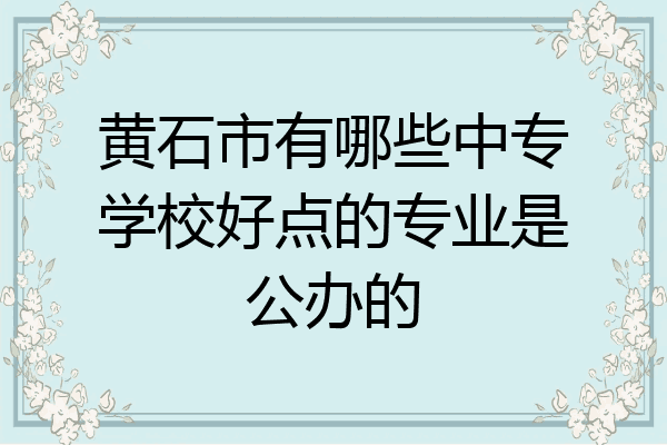 黄石市有哪些中专学校好点的专业是公办的