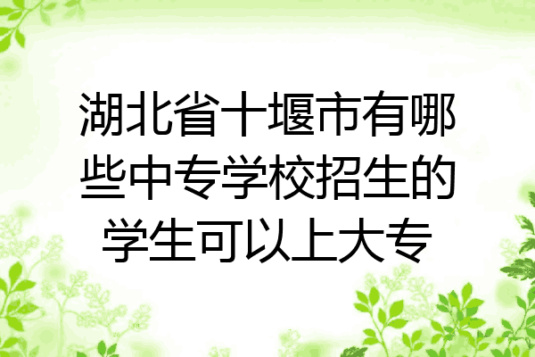 湖北省十堰市有哪些中专学校招生的学生可以上大专