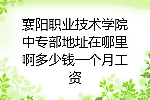 襄阳职业技术学院中专部地址在哪里啊多少钱一个月工资