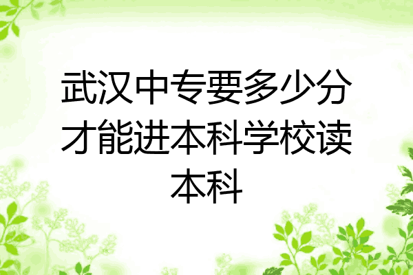 武汉中专要多少分才能进本科学校读本科
