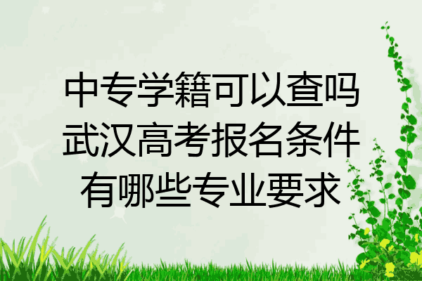中专学籍可以查吗武汉高考报名条件有哪些专业要求