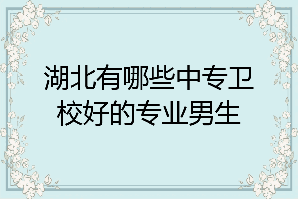 湖北有哪些中专卫校好的专业男生