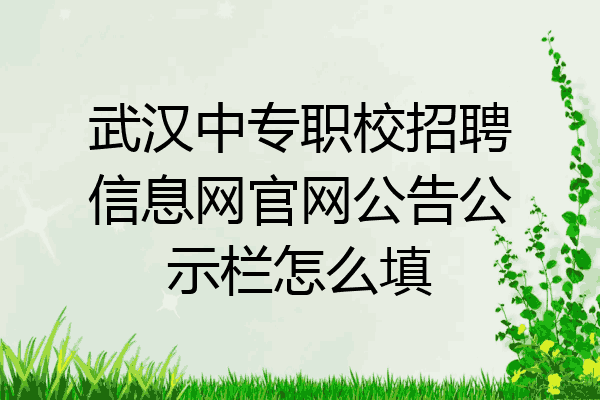 武汉中专职校招聘信息网官网公告公示栏怎么填