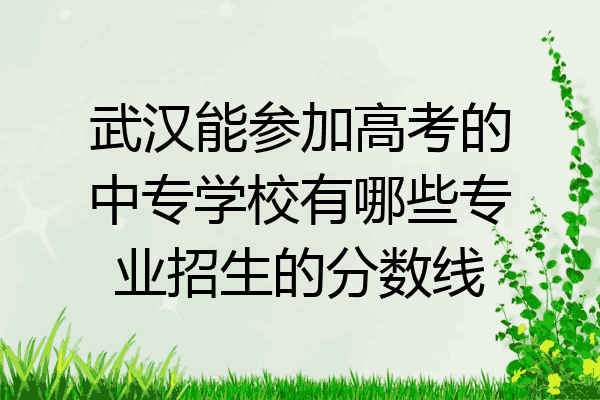 武汉能参加高考的中专学校有哪些专业招生的分数线