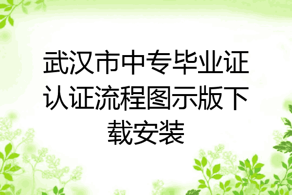 武汉市中专毕业证认证流程图示版下载安装